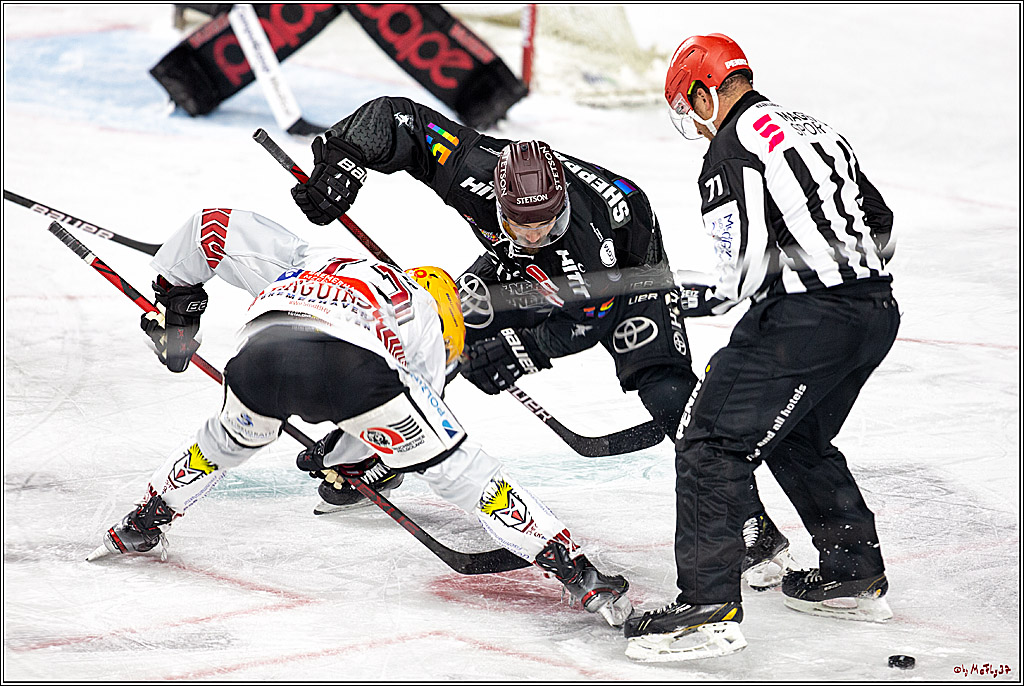 PENNY DEL;  Koelner Haie - Fischtown Pinguins Bremerhaven; Koeln, 17.01.2021